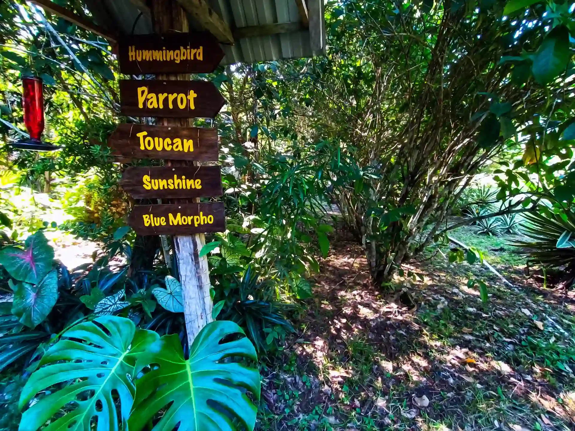 Wegweiser zu den Unterkünften der Sun Creek Lodge zwischen tropischen Pflanzen